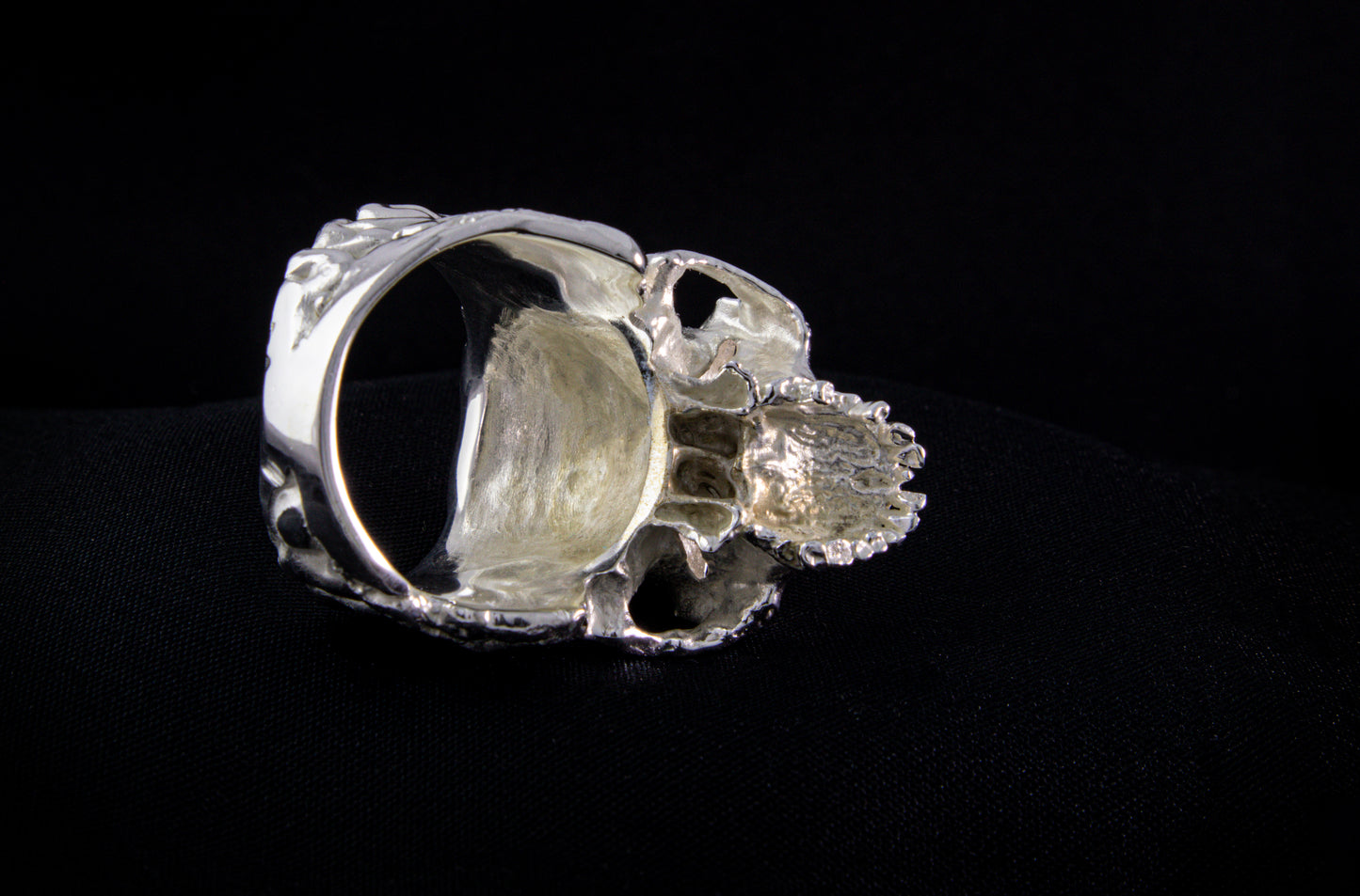 Skull with Brain Ring