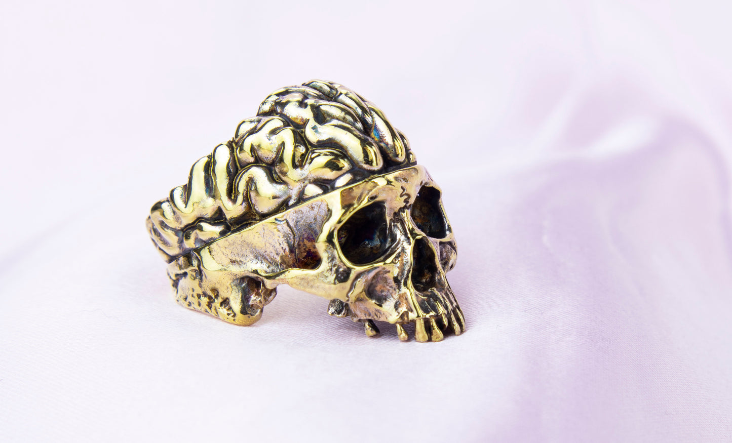 Skull with Brain Ring